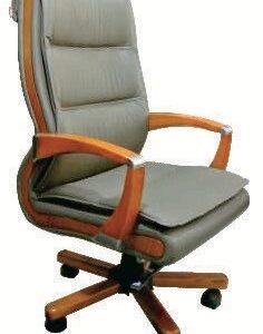 Comfy Mesh Back Chair