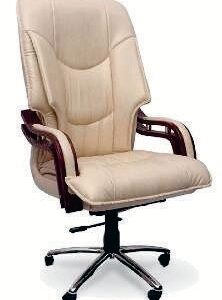 CD 129 – Ergonomic Mid-Back Chair